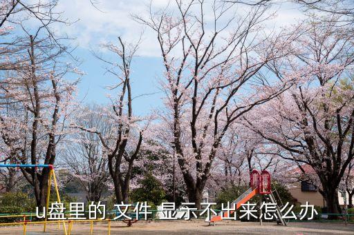 u盤里的 文件 顯示不出來怎么辦
