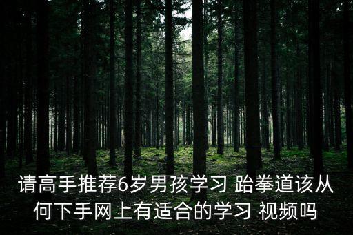 請高手推薦6歲男孩學習 跆拳道該從何下手網上有適合的學習 視頻嗎