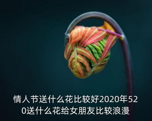 情人節(jié)送什么花比較好2020年520送什么花給女朋友比較浪漫