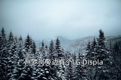 廣州羅崗旁邊有個LG Display