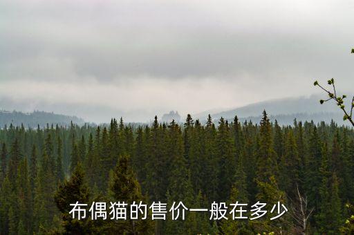 布偶貓多少錢一只,藍(lán)貓多少錢一只