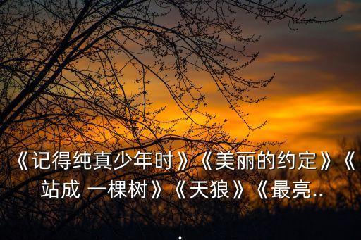 《記得純真少年時》《美麗的約定》《 站成 一棵樹》《天狼》《最亮...