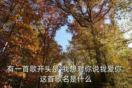 有一首歌開頭是:我想對你說我愛你,這首歌名是什么