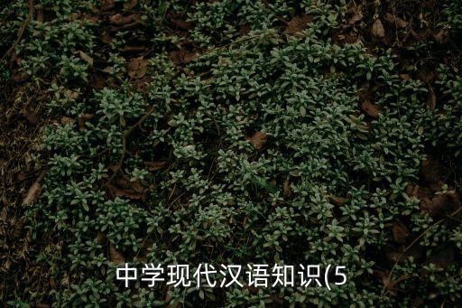 中學現代漢語知識(5
