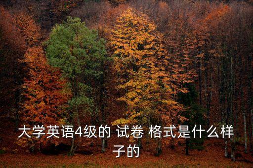 試卷格式,標準化大學英語四、六級考試1986年底開始準備