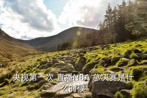 央視第一次 直播NBA 總決賽是什么時候