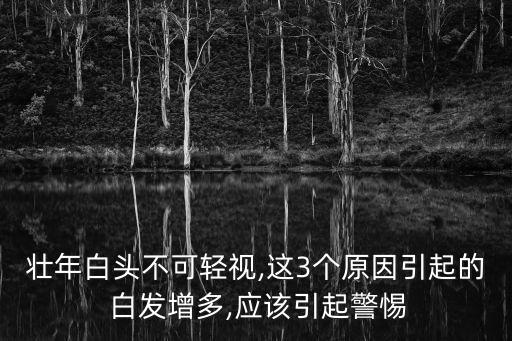 壯年白頭不可輕視,這3個(gè)原因引起的 白發(fā)增多,應(yīng)該引起警惕