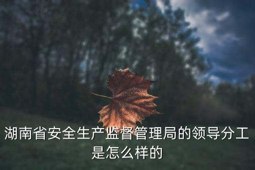 國家安監(jiān)總局局長,國家安監(jiān)總局副局長付建華是國家煤礦安監(jiān)局局長