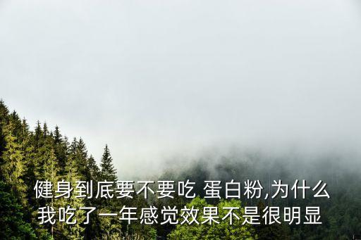 健身蛋白粉