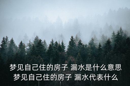 夢見屋子漏水,周公解夢:夢見屋子漏水意味近期感情運勢不佳