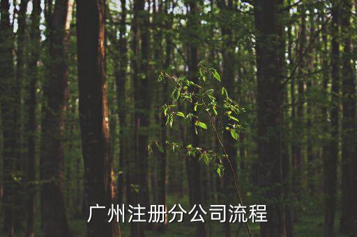 廣州注冊分公司流程