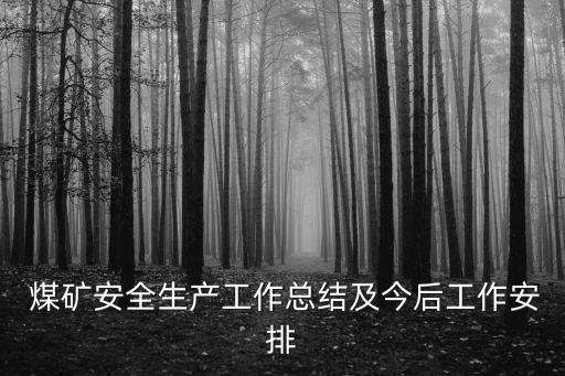  煤礦安全生產工作總結及今后工作安排