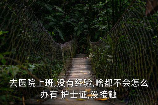 新手護士