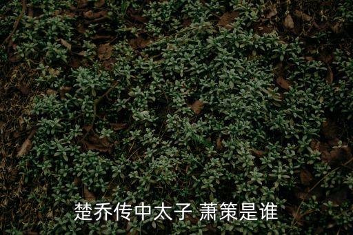 蕭策,趙策死于其母之手網(wǎng)民質(zhì)疑是否為堯皇后親生兒