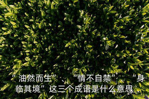 油然而生是什么意思,油然而生指自然產生對某種思想感情