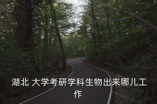 湖北大學就業,漢語言文學或教育學專業畢業生推薦表下載