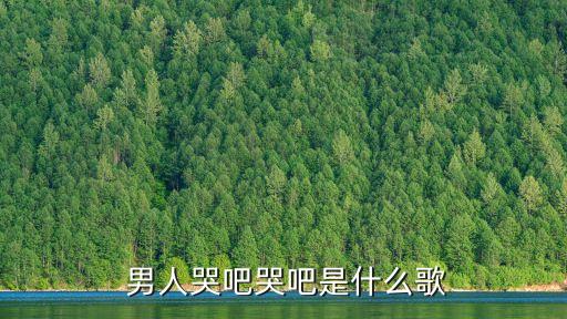  男人哭吧哭吧是什么歌