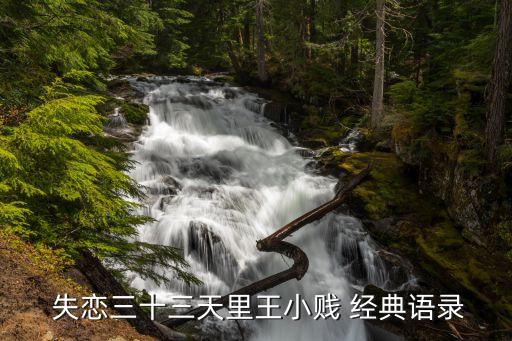 失戀33天經(jīng)典臺(tái)詞