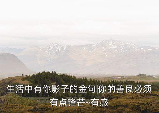 零容忍觀后感,《中國(guó)機(jī)長(zhǎng)》第二部:逆境中的勇氣
