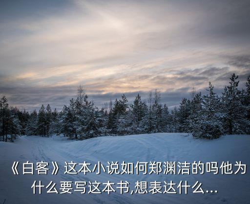 《白客》這本小說如何鄭淵潔的嗎他為什么要寫這本書,想表達什么...