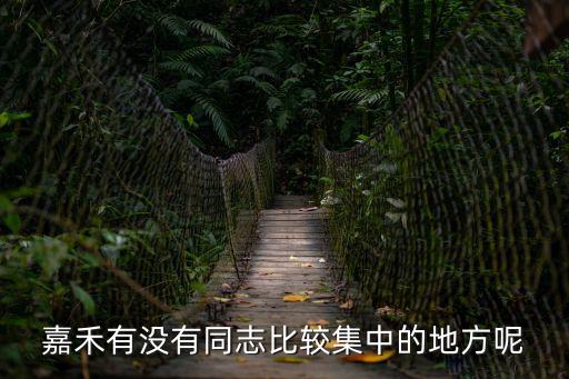 嘉禾有沒有同志比較集中的地方呢