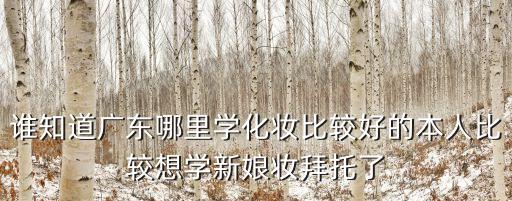 誰知道廣東哪里學化妝比較好的本人比較想學新娘妝拜托了