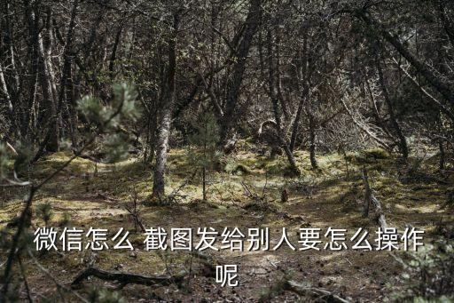  微信怎么 截圖發給別人要怎么操作呢