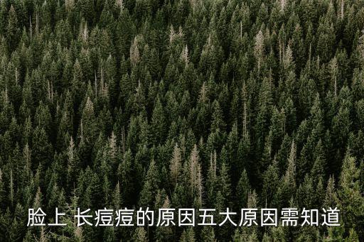  臉上 長痘痘的原因五大原因需知道