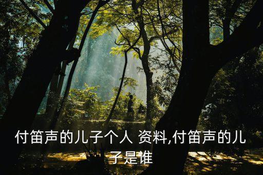 任靜個人資料,陜西歌手任靜個人資料