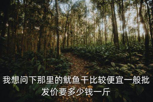 廣州魷魚干批發(fā)價(jià)格，廣州新鮮魷魚多少錢一斤