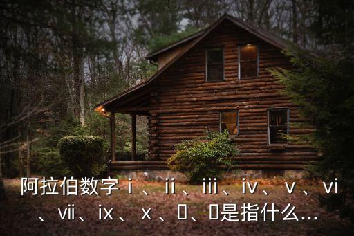  阿拉伯?dāng)?shù)字ⅰ、ⅱ、ⅲ、ⅳ、ⅴ、ⅵ、ⅶ、ⅸ、ⅹ、?、?是指什么...