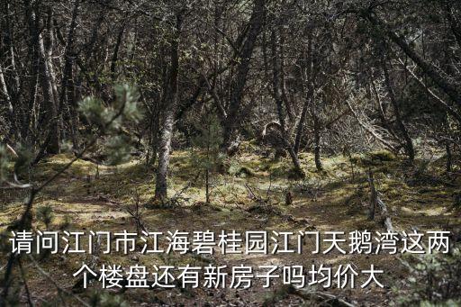 請問江門市江海碧桂園江門天鵝灣這兩個樓盤還有新房子嗎均價大