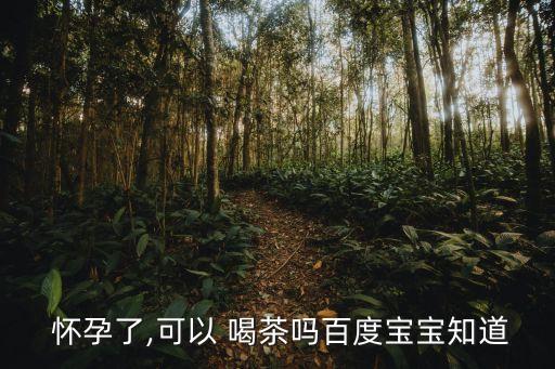 懷孕初期能喝茶嗎,懷孕1一3月禁吃的十大食物