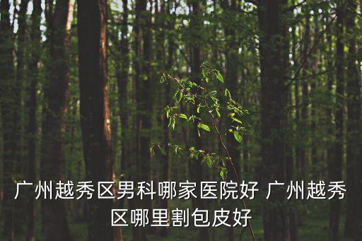 廣州越秀區(qū)男科哪家醫(yī)院好 廣州越秀區(qū)哪里割包皮好