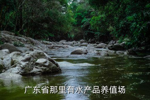 2017廣州水產(chǎn)養(yǎng)殖展，廣東省那里有水產(chǎn)品養(yǎng)值場(chǎng)
