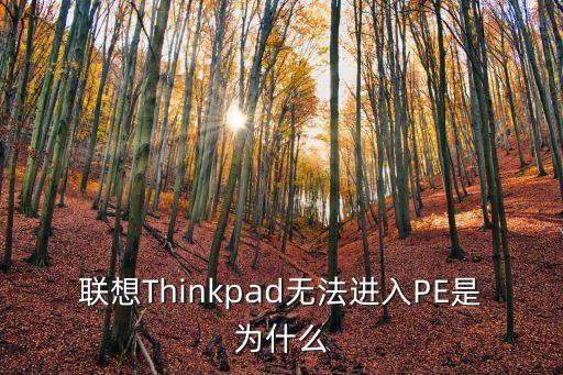 pe進不去,盤裝系統進不去pe怎么辦?