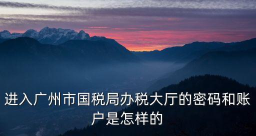 進(jìn)入廣州市國稅局辦稅大廳的密碼和賬戶是怎樣的