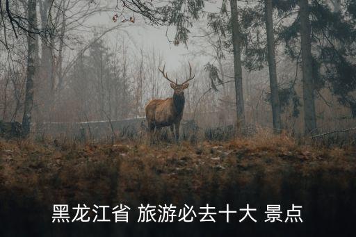 黑龍江省 旅游必去十大 景點