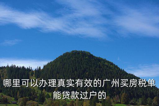 哪里可以辦理真實有效的廣州買房稅單能貸款過戶的