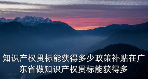 知識產(chǎn)權(quán)貫標能獲得多少政策補貼在廣東省做知識產(chǎn)權(quán)貫標能獲得多