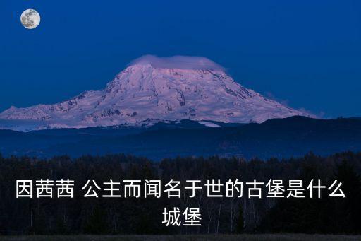 公主城堡,桃園公主城堡破解版有地下城版嗎?
