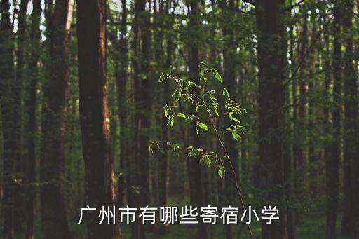 廣州所有寄宿小學，廣州市有哪些寄宿小學