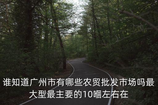 廣州有農貿批發市場，誰知道廣州市有哪些農貿批發市場嗎最大型最主要的10嗰左右在