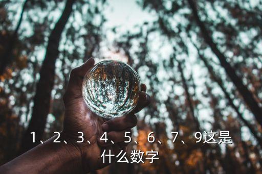 1、2、3、4、5、6、7、9這是什么數字