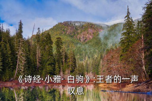 《詩經(jīng)·小雅· 白駒》:王者的一聲嘆息