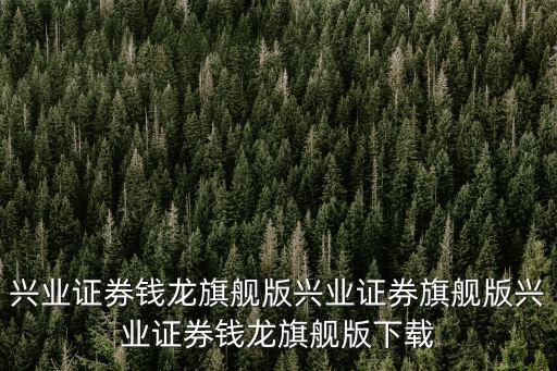 興業(yè)證券錢龍旗艦版興業(yè)證券旗艦版興業(yè)證券錢龍旗艦版下載