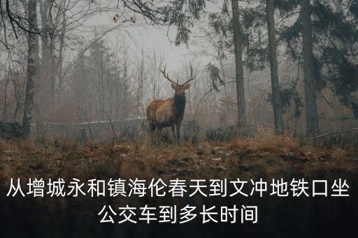 從增城永和鎮海倫春天到文沖地鐵口坐公交車到多長時間