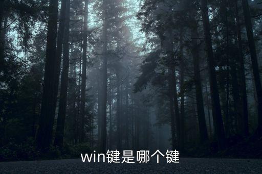 win鍵是哪個鍵