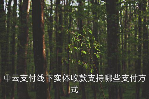 中云支付線下實體收款支持哪些支付方式