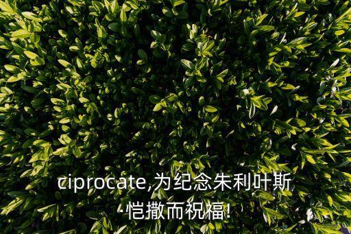 reciprocate,為紀念朱利葉斯·愷撒而祝福!